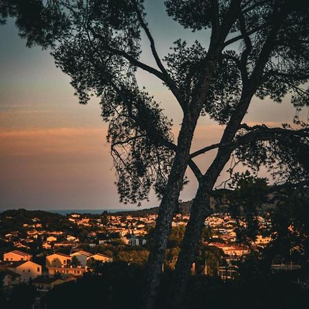 La Solane - Grande Maison Sous Les Pins Six-Fours-les-Plages Exterior foto